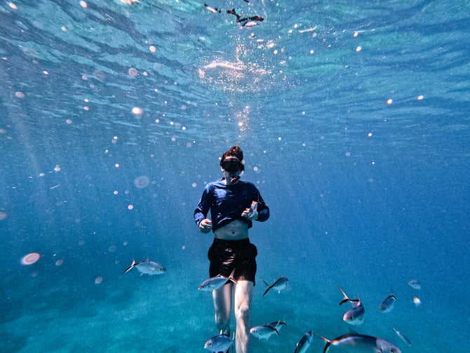 Snorkeling Adventures